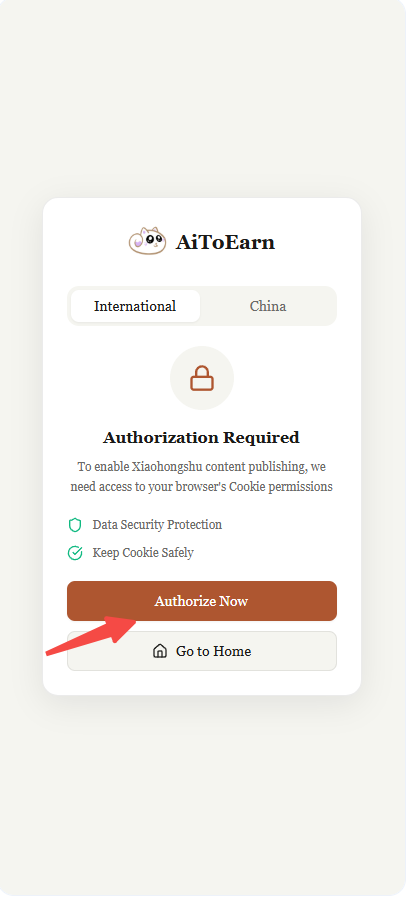 点击 'Authorize Now' 授权插件
